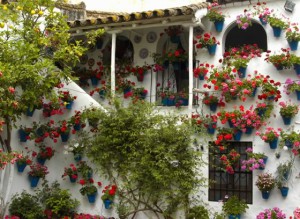 PATIOS DE CORDOBA